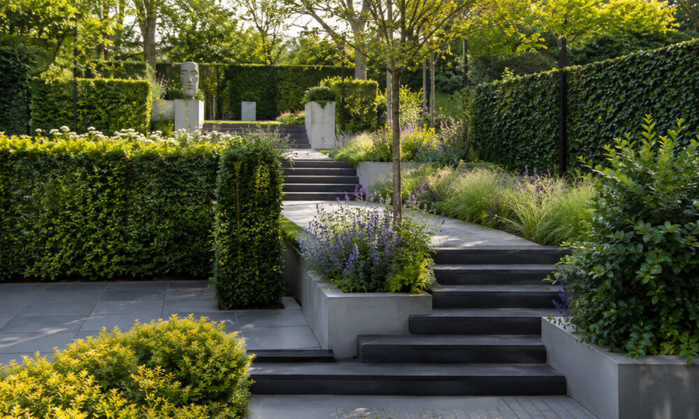 Laurierspecialist hoogte verschil in tuin