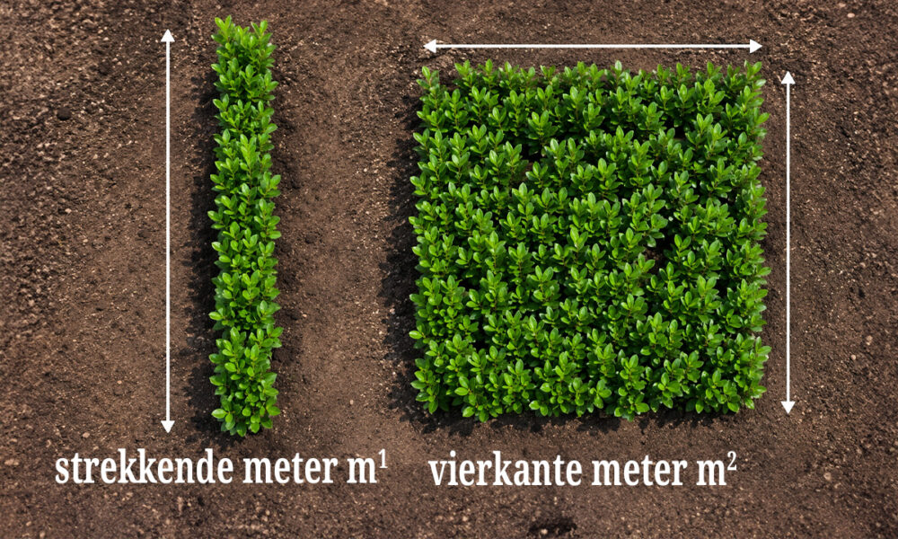 lauierspecialist strekkende en vierkante meter